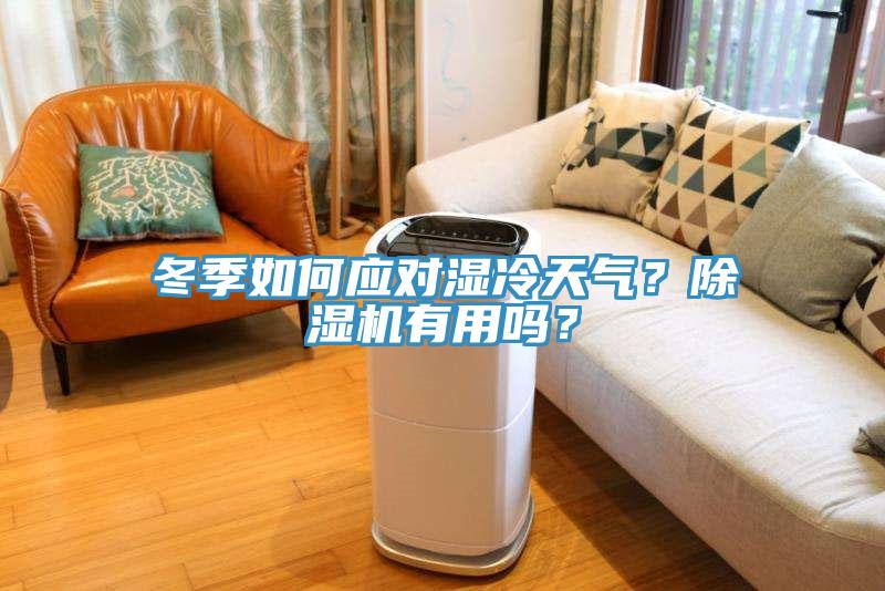 冬季如何应对湿冷天气？除湿机有用吗？