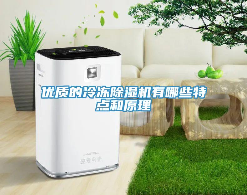 优质的冷冻除湿机有哪些特点和原理