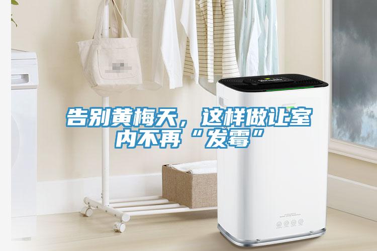 告别黄梅天，这样做让室内不再“发霉”