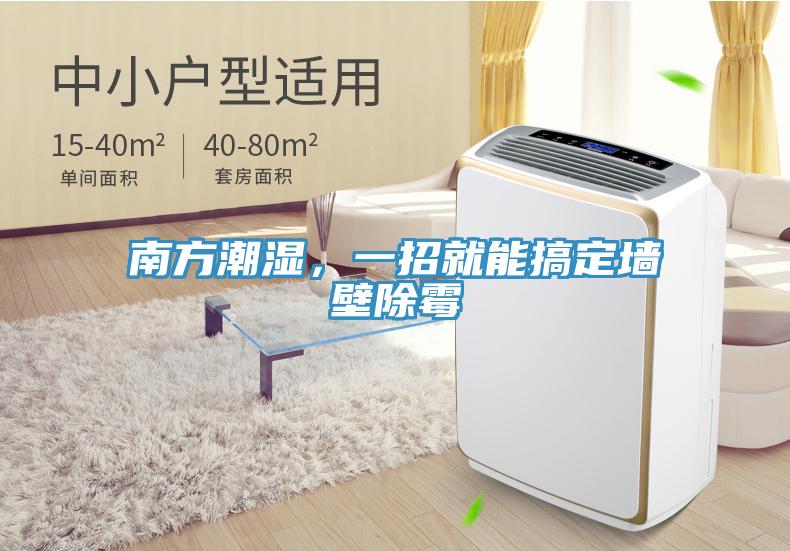 南方潮湿，一招就能搞定墙壁除霉
