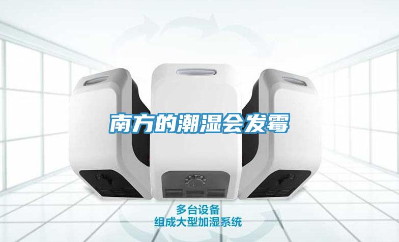 南方的潮湿会发霉