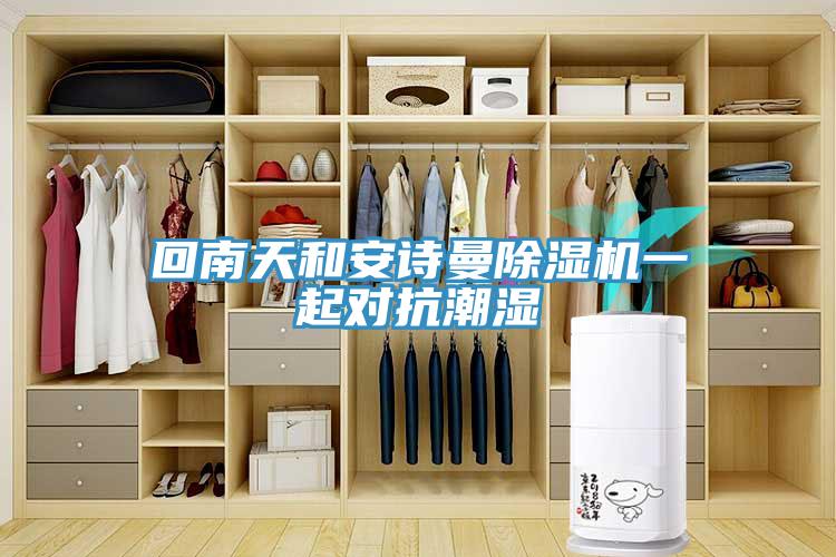 回南天和安诗曼除湿机一起对抗潮湿
