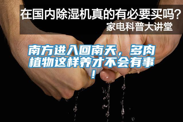 南方进入回南天，多肉植物这样养才不会有事！