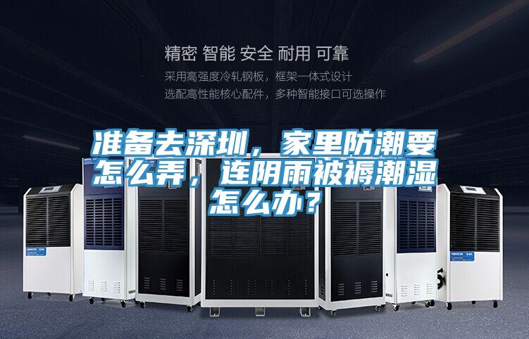 准备去深圳，家里防潮要怎么弄，连阴雨被褥潮湿怎么办？