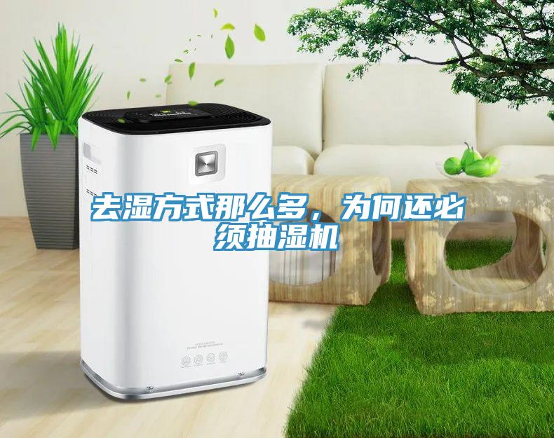 去湿方式那么多，为何还必须抽湿机