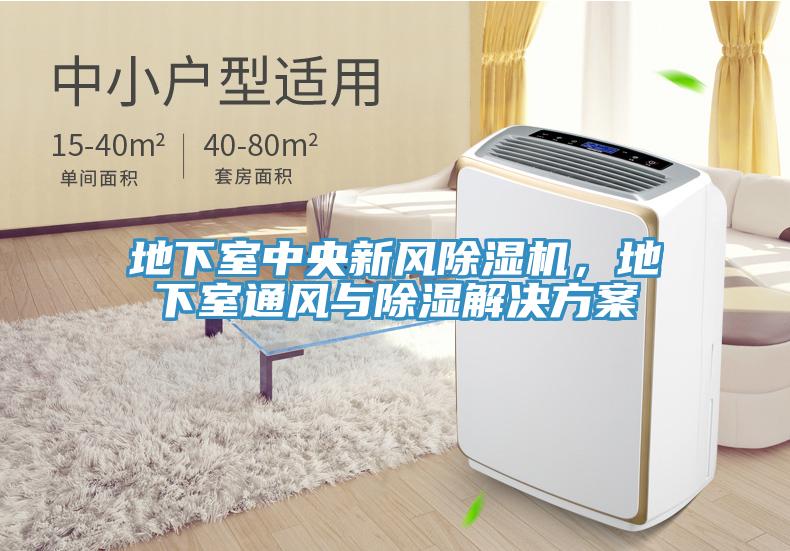地下室中央新风除湿机，地下室通风与除湿解决方案