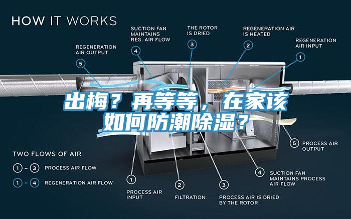 出梅？再等等，在家该如何防潮除湿？