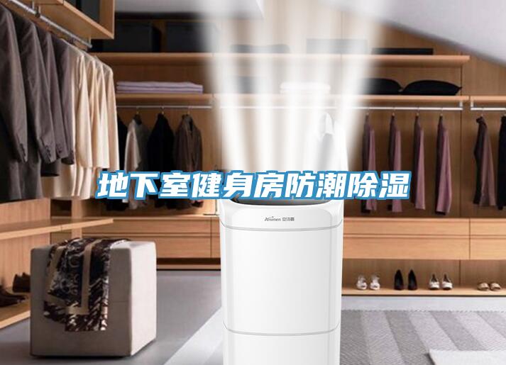 地下室健身房防潮除湿