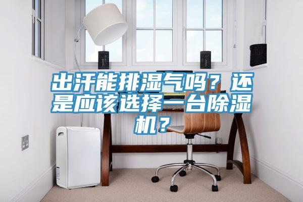 出汗能排湿气吗？还是应该选择一台除湿机？