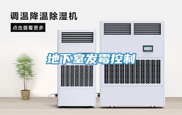 地下室发霉控制
