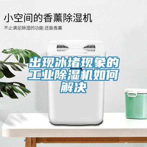 出现冰堵现象的工业除湿机如何解决