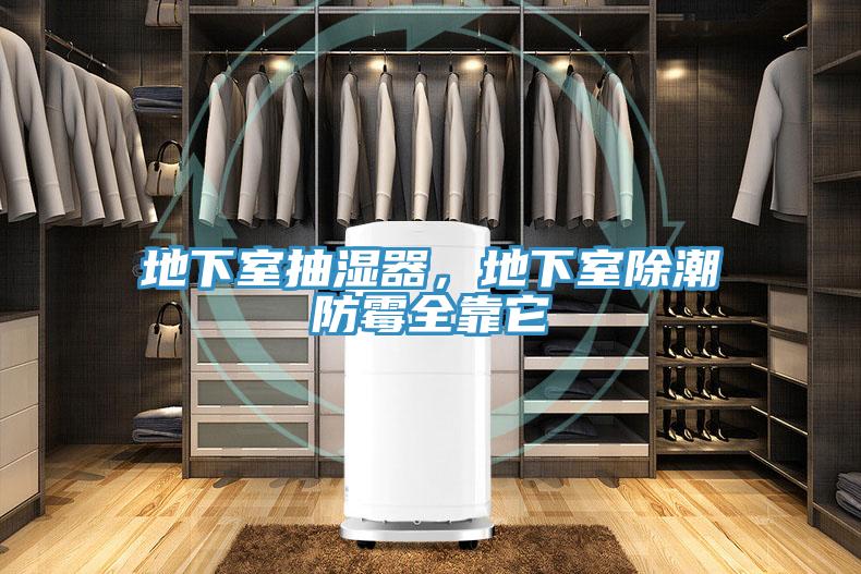 地下室抽湿器，地下室除潮防霉全靠它