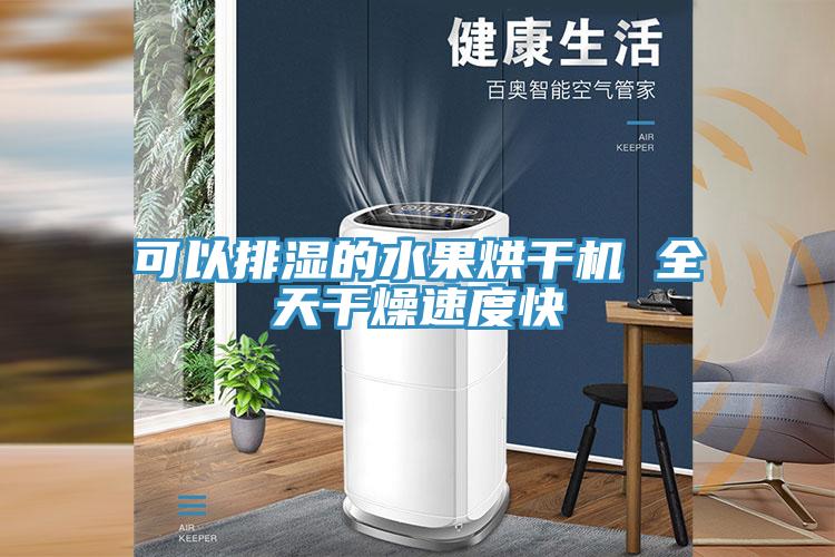 可以排湿的水果烘干机 全天干燥速度快