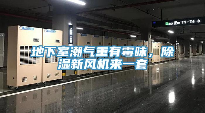 地下室潮气重有霉味，除湿新风机来一套