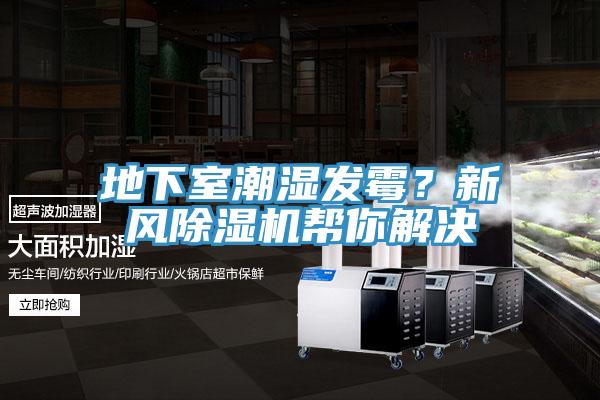 地下室潮湿发霉？新风除湿机帮你解决