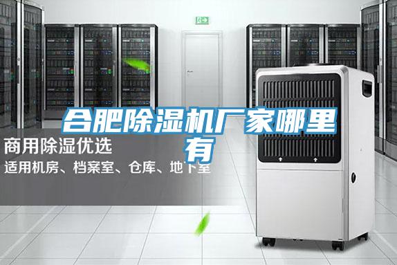 合肥除湿机厂家哪里有