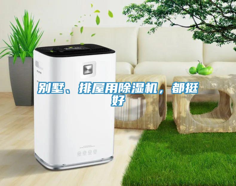 别墅、排屋用除湿机，都挺好