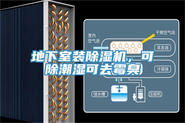 地下室装除湿机，可除潮湿可去霉臭