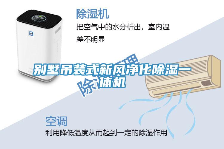别墅吊装式新风净化除湿一体机