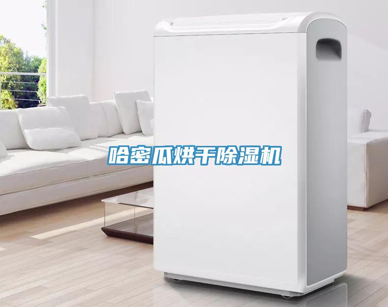 哈密瓜烘干除湿机