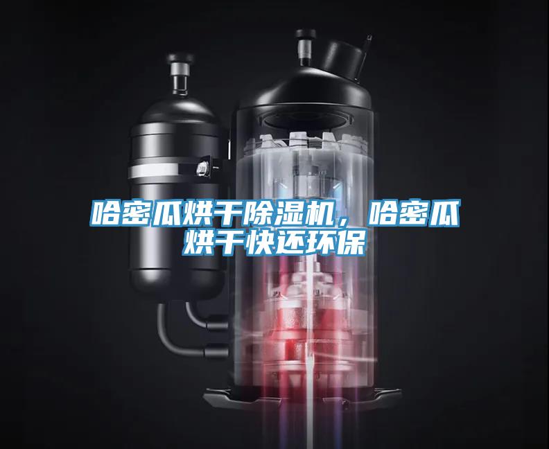 哈密瓜烘干除湿机，哈密瓜烘干快还环保