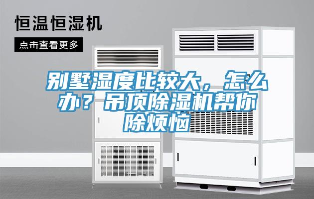 别墅湿度比较大，怎么办？吊顶除湿机帮你除烦恼