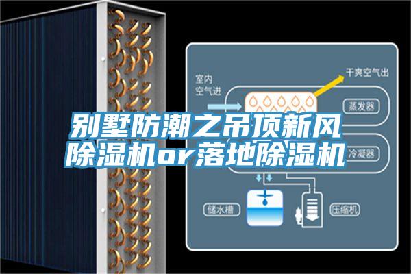 别墅防潮之吊顶新风除湿机or落地除湿机