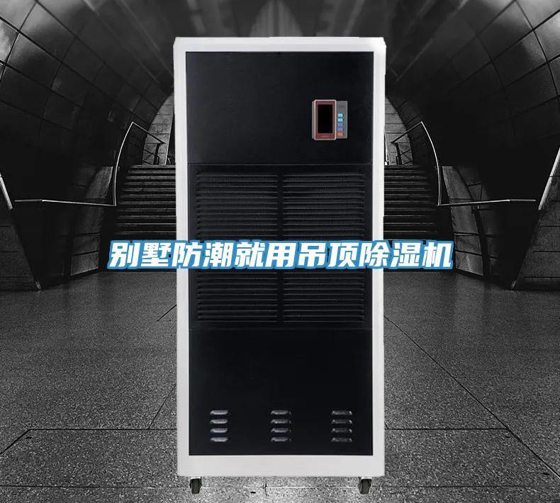 别墅防潮就用吊顶除湿机