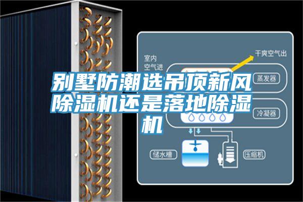别墅防潮选吊顶新风除湿机还是落地除湿机