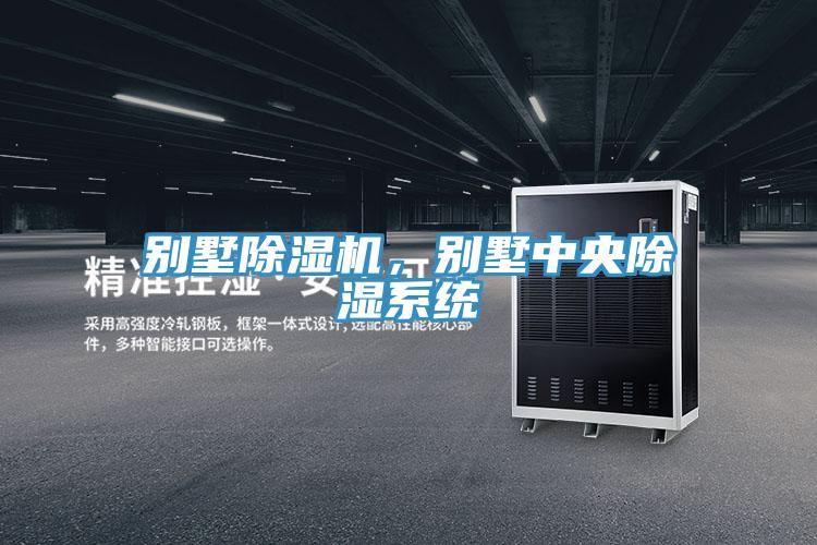 别墅除湿机，别墅中央除湿系统