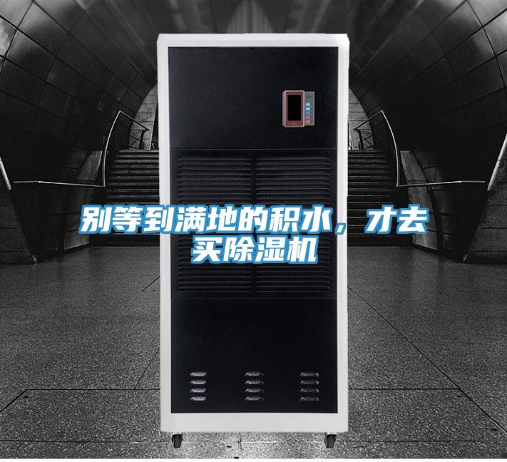 别等到满地的积水，才去买除湿机
