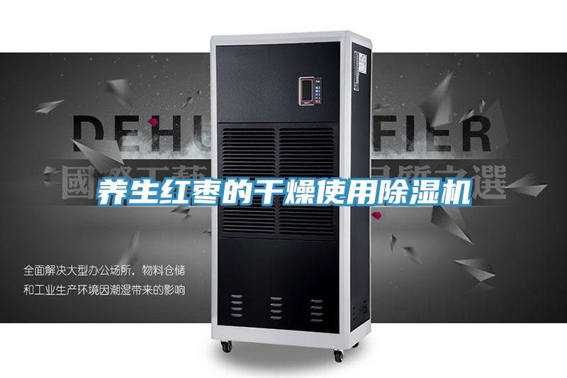 养生红枣的干燥使用除湿机
