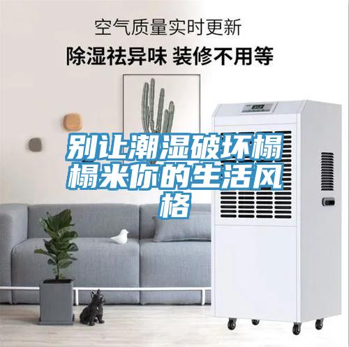 别让潮湿破坏榻榻米你的生活风格