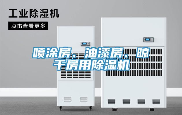 喷涂房、油漆房、晾干房用除湿机
