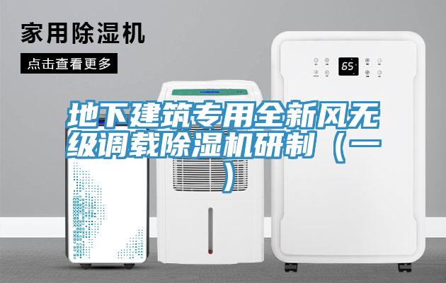 地下建筑专用全新风无级调载除湿机研制（一）
