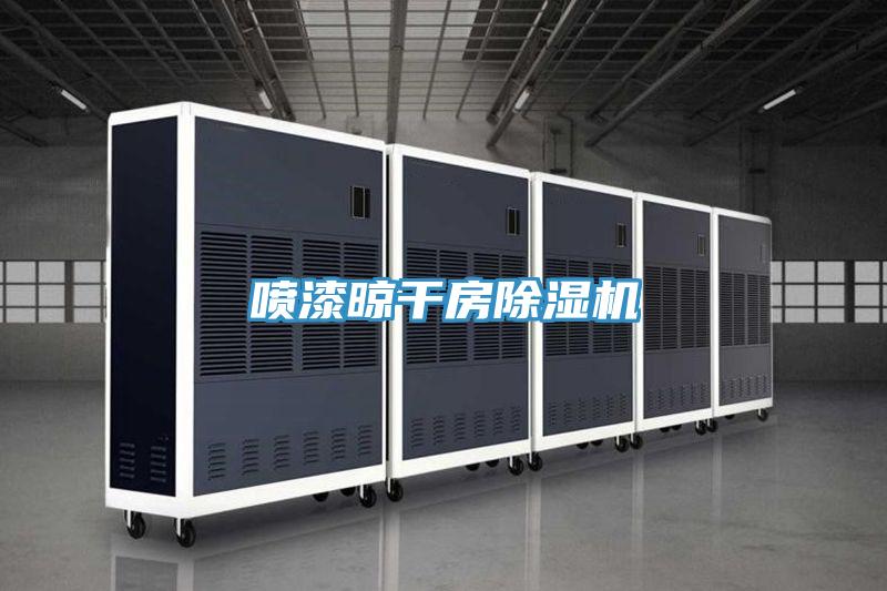 喷漆晾干房除湿机