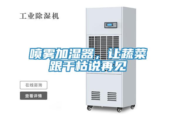 喷雾加湿器，让蔬菜跟干枯说再见