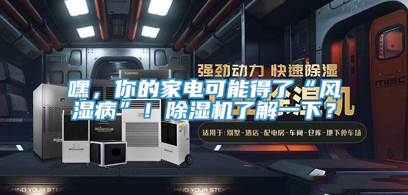嘿，你的家电可能得了“风湿病”！除湿机了解一下？