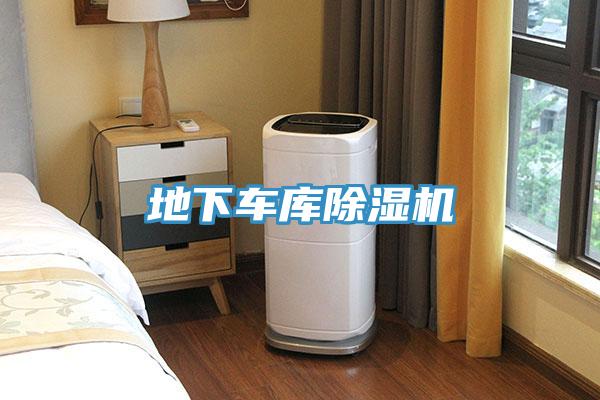 地下车库除湿机