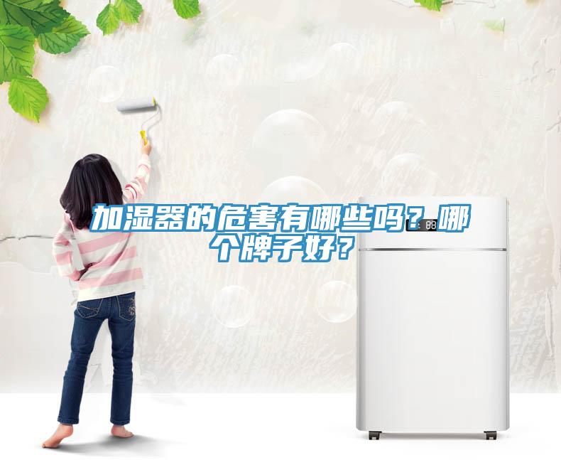 加湿器的危害有哪些吗？哪个牌子好？