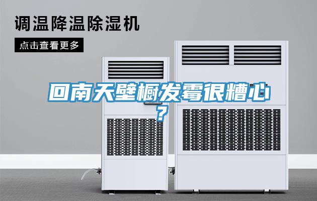 回南天壁橱发霉很糟心？