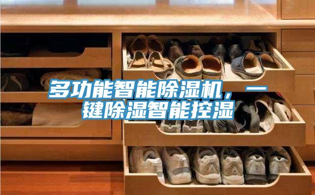 多功能智能除湿机，一键除湿智能控湿