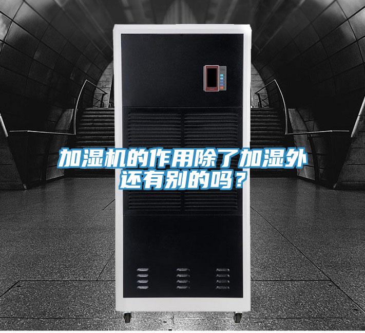 加湿机的作用除了加湿外还有别的吗？