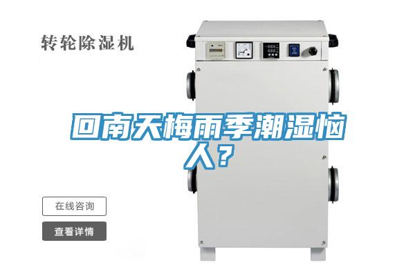 回南天梅雨季潮湿恼人？