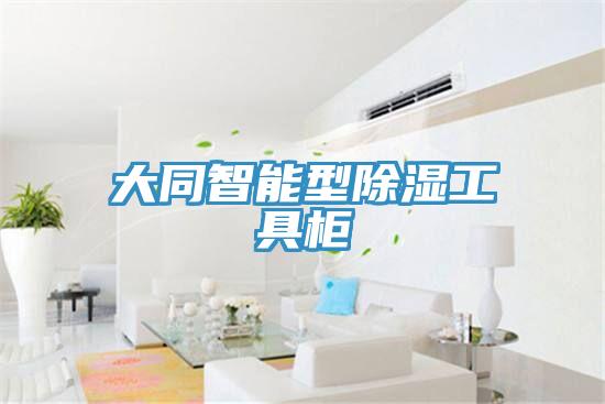 大同智能型除湿工具柜