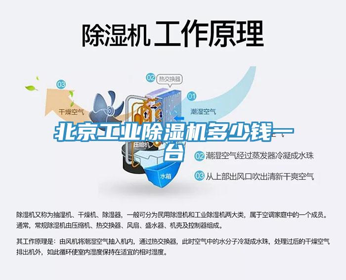 北京工业除湿机多少钱一台