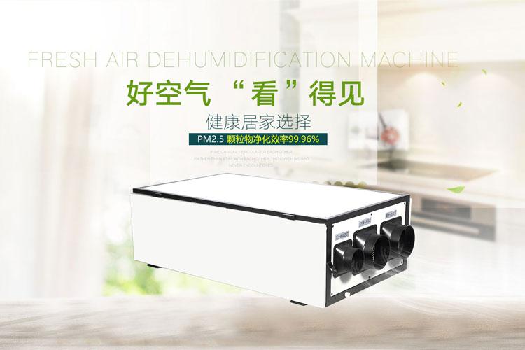 升温型除湿机哪个品牌好，怎么选择？